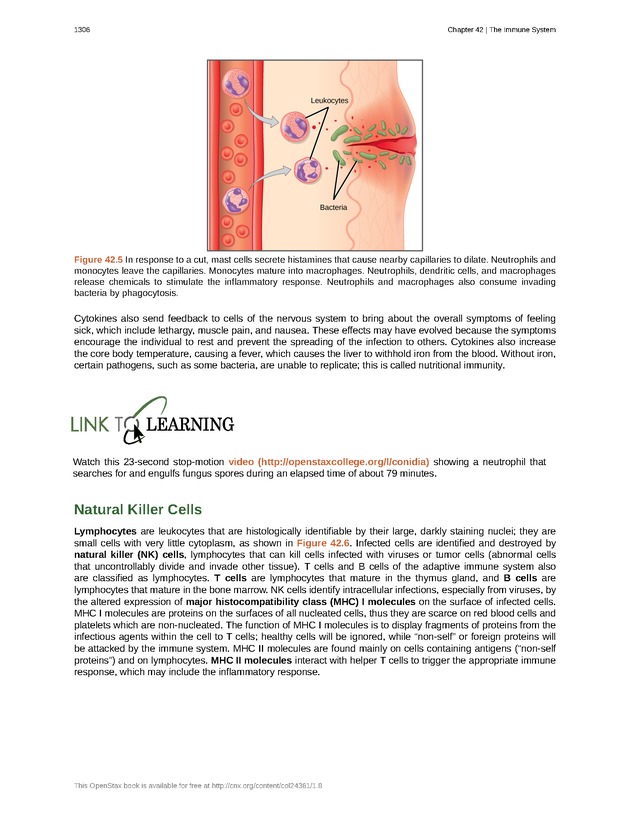 Biology - New Page