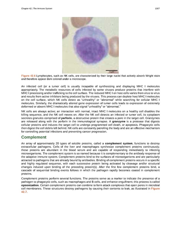 Biology - New Page