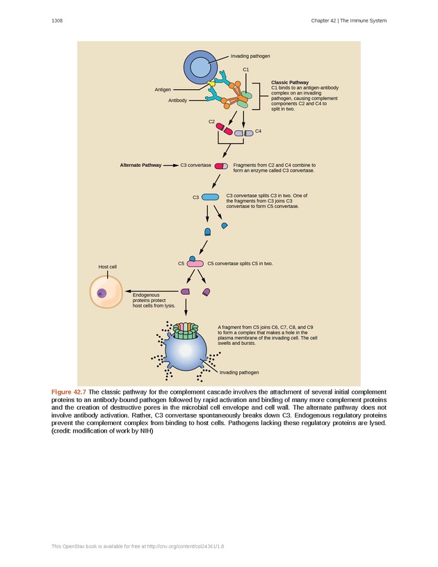 Biology - New Page