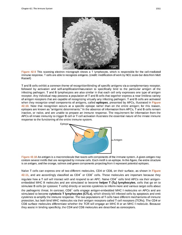 Biology - New Page
