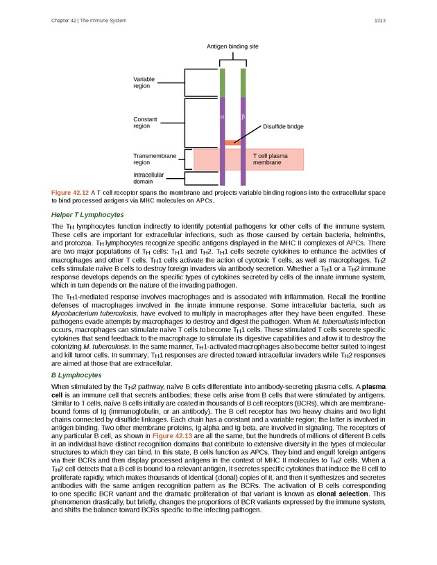 Biology - New Page