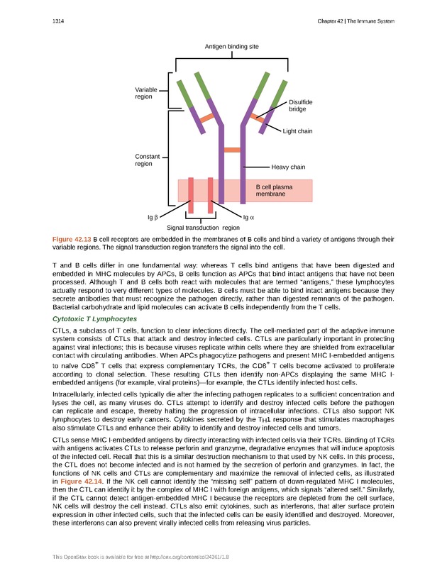 Biology - New Page