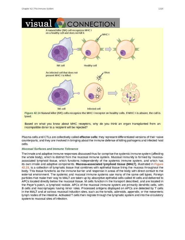 Biology - New Page
