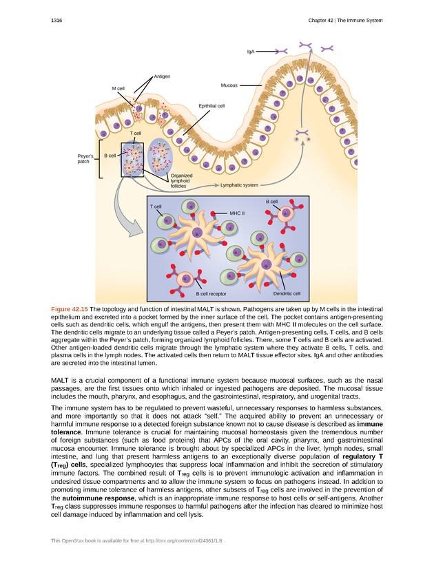Biology - New Page