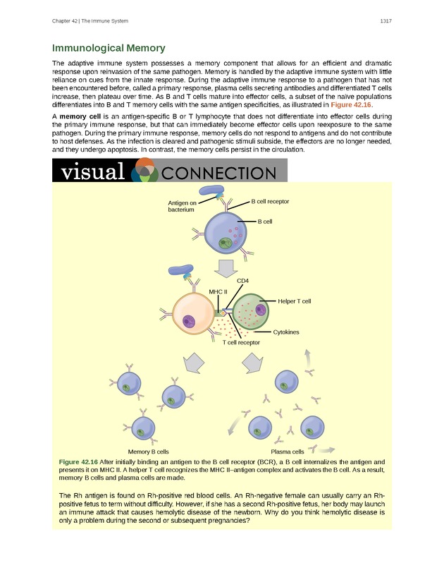 Biology - New Page