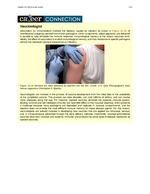 MISSING THUMBNAIL