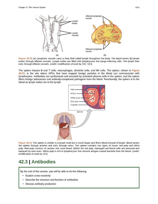Biology - New Page
