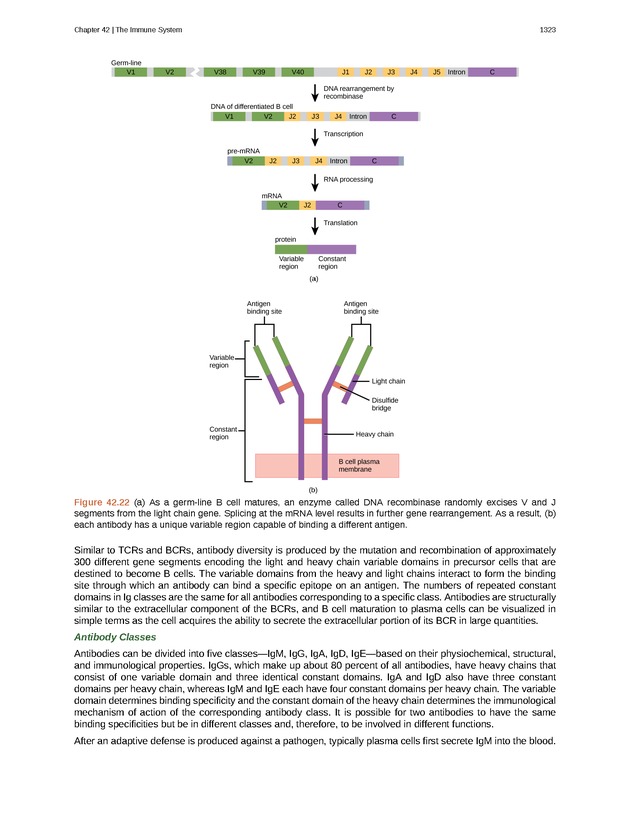 Biology - New Page