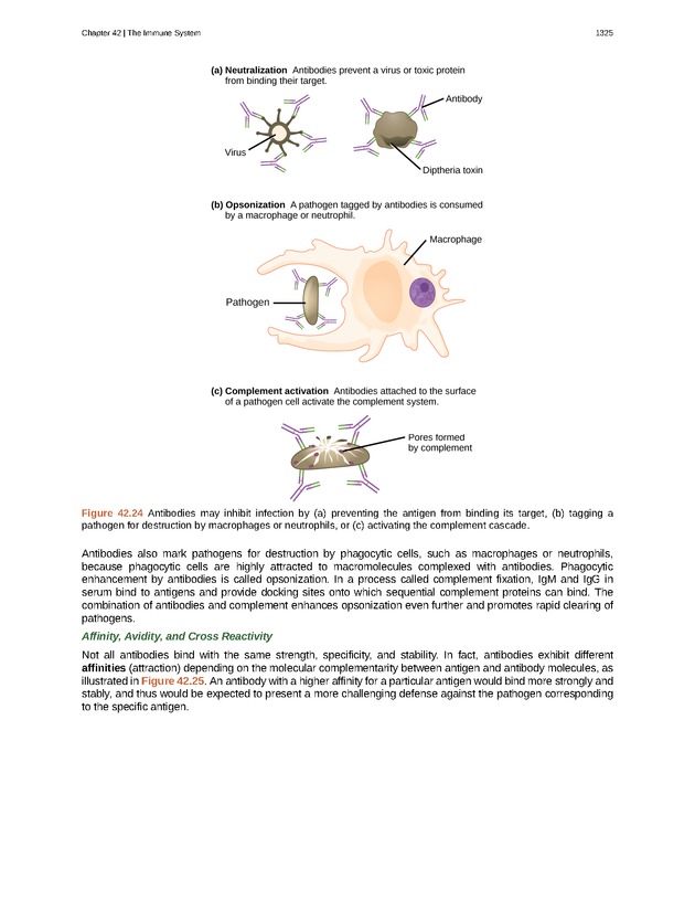 Biology - New Page