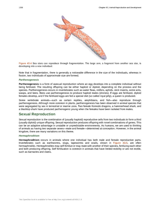 Biology - New Page