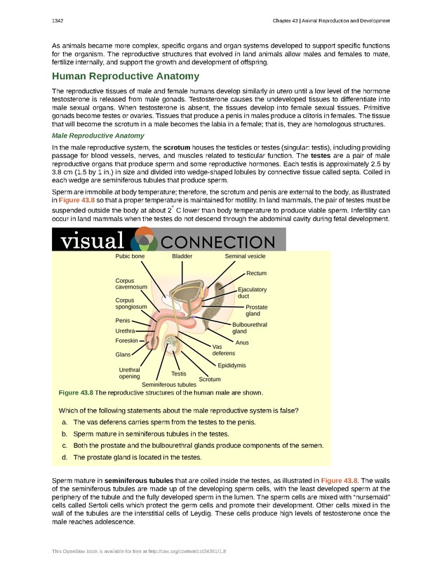 Biology - New Page