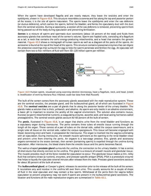Biology - New Page