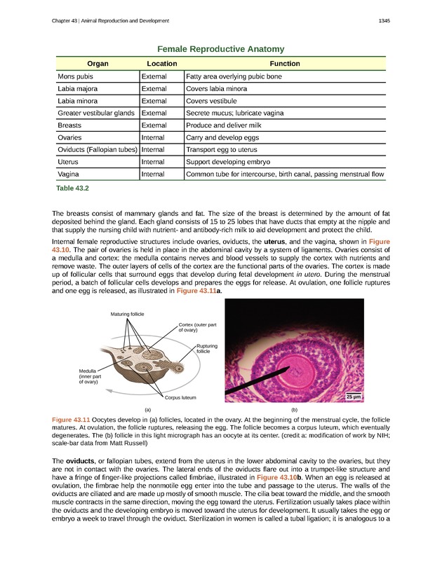 Biology - New Page