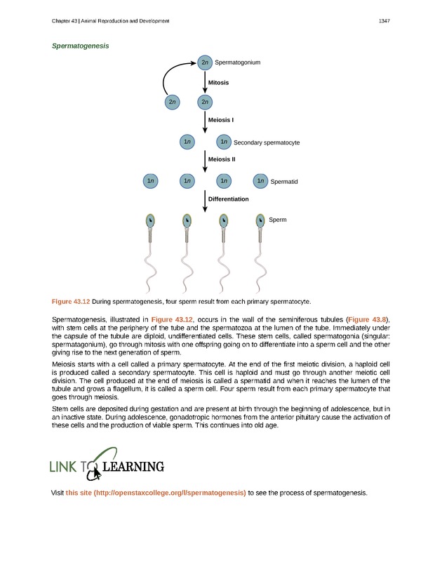 Biology - New Page