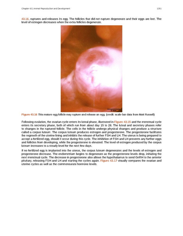 Biology - New Page
