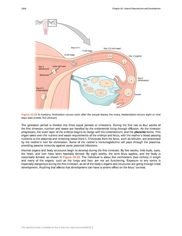 Biology - New Page