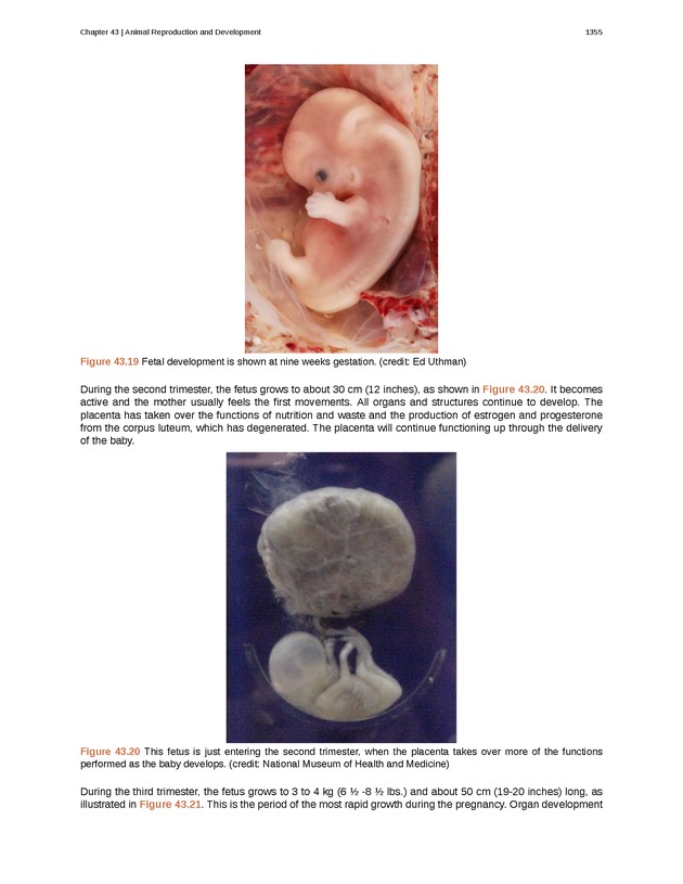 Biology - New Page