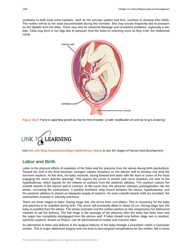 Biology - New Page