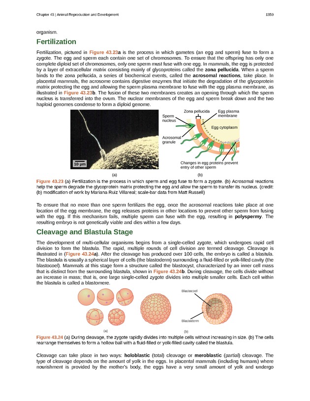 Biology - New Page