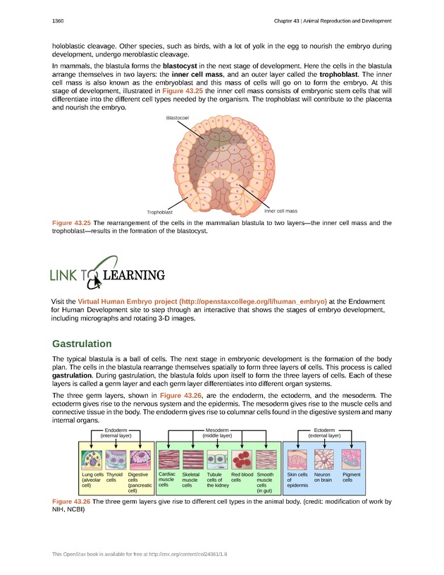 Biology - New Page