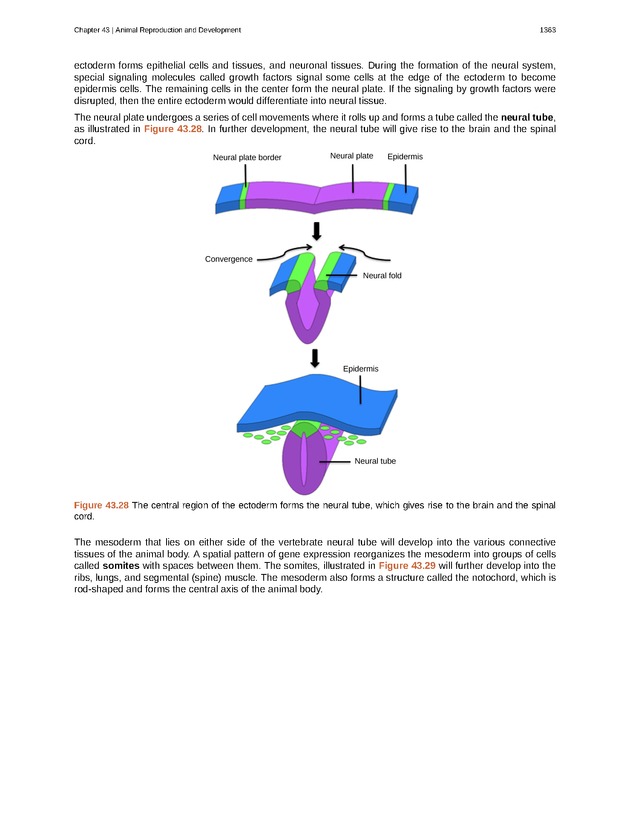 Biology - New Page
