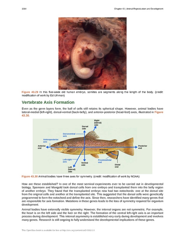 Biology - New Page