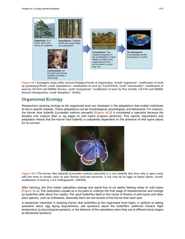 Biology - New Page