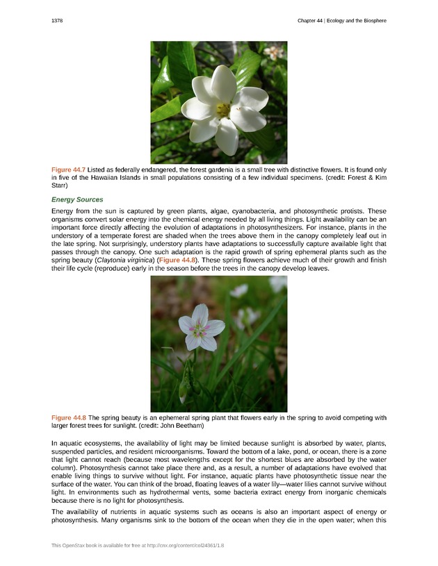 Biology - New Page