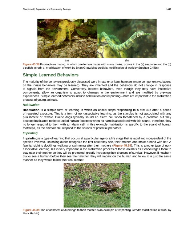 Biology - New Page