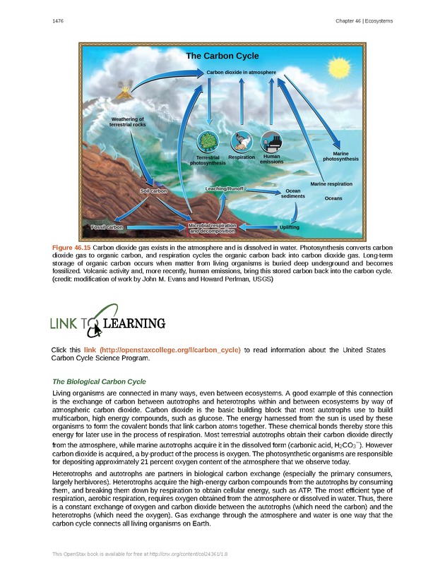 Biology - New Page