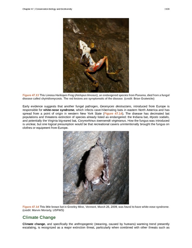 Biology - New Page