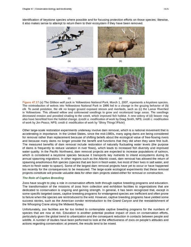 Biology - New Page