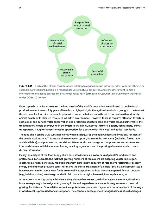Business Ethics - Page 248
