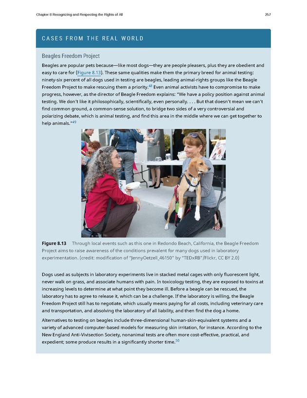Business Ethics - Page 251
