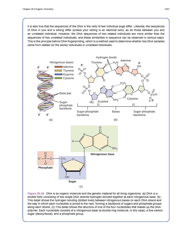 Chemistry - New Page