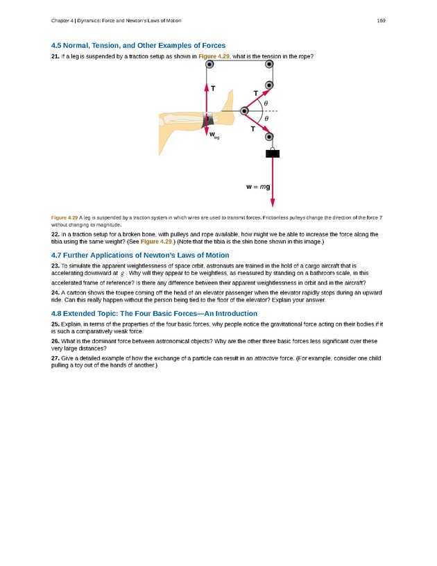 College Physics (Algebra) - New Page