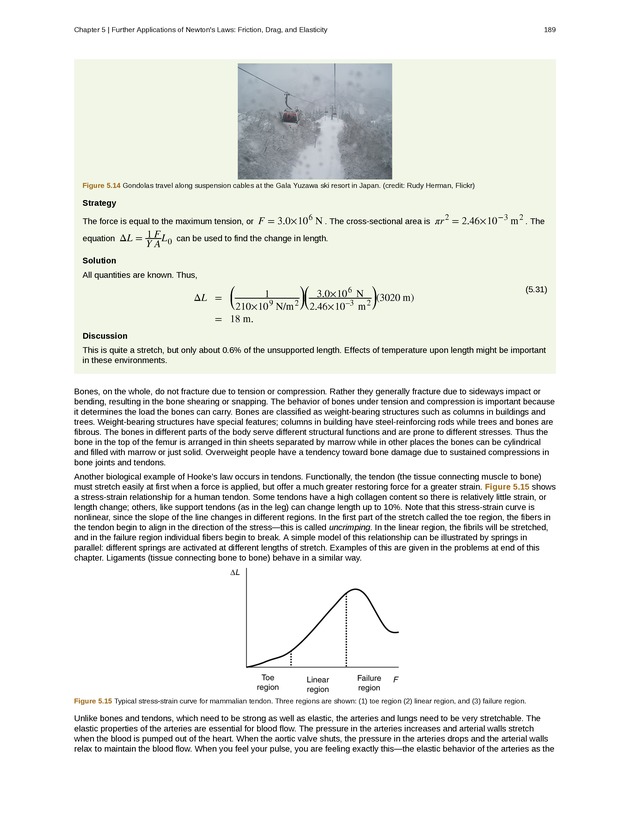 College Physics (Algebra) - New Page