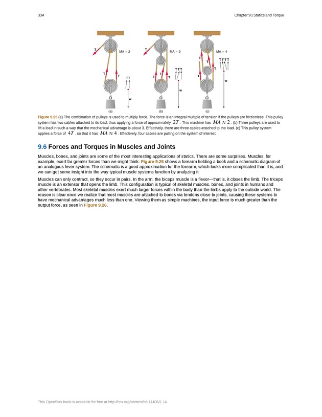 College Physics (Algebra) - New Page