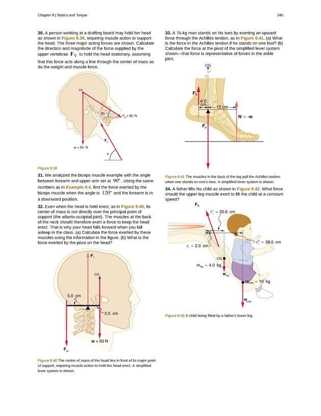College Physics (Algebra) - New Page