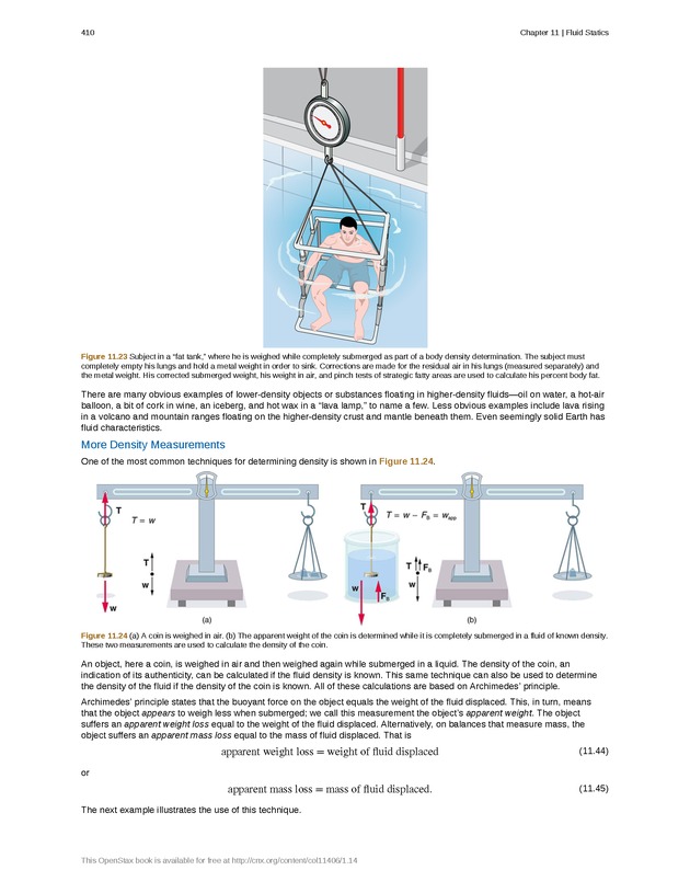 College Physics (Algebra) - New Page