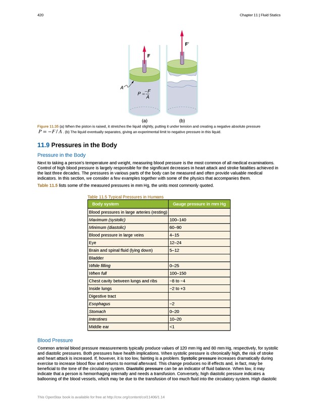 College Physics (Algebra) - New Page