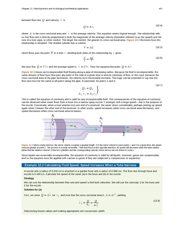 College Physics (Algebra) - New Page