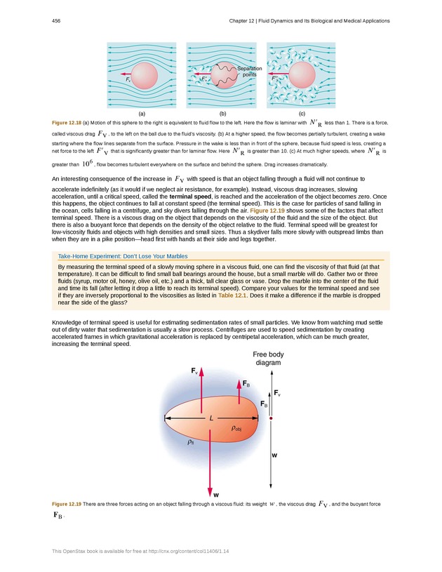College Physics (Algebra) - New Page