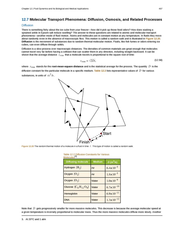 College Physics (Algebra) - New Page