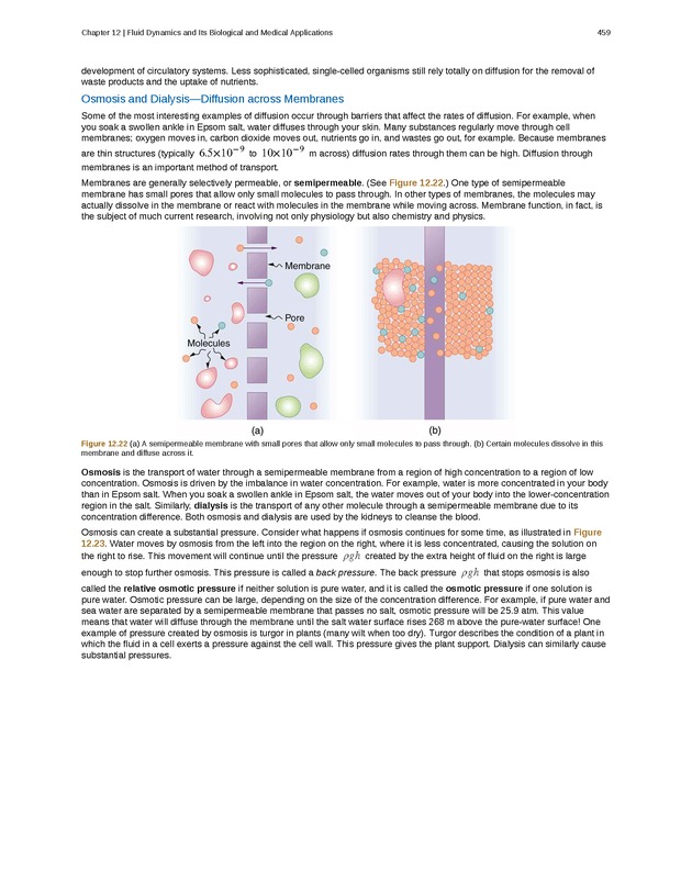 College Physics (Algebra) - New Page