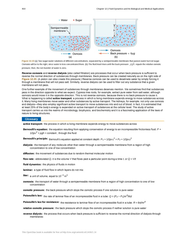College Physics (Algebra) - New Page