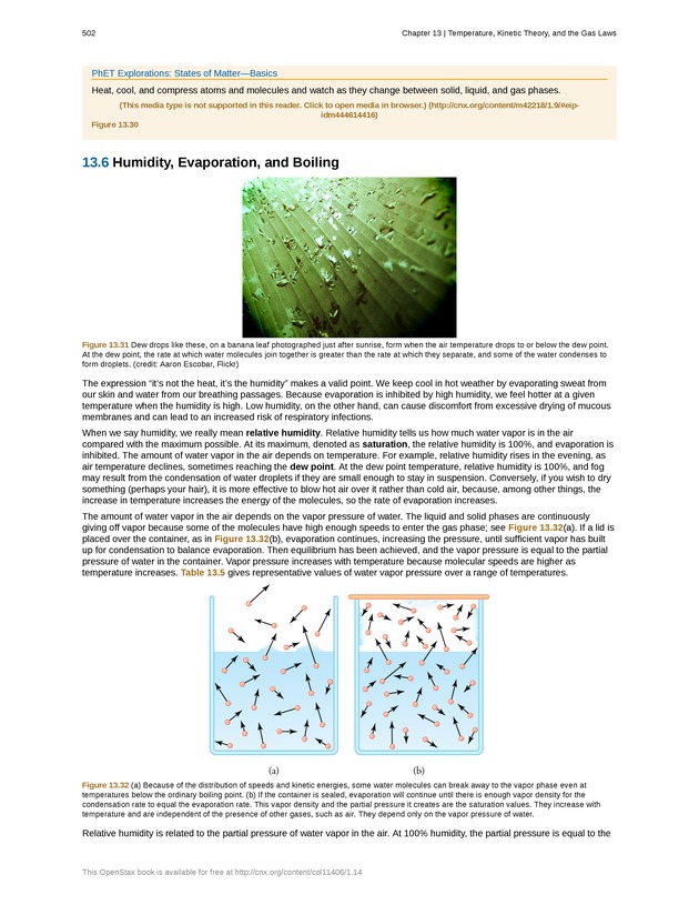 College Physics (Algebra) - New Page