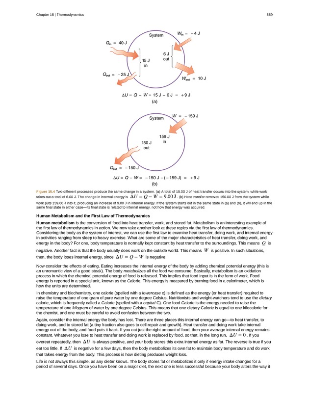 College Physics (Algebra) - New Page