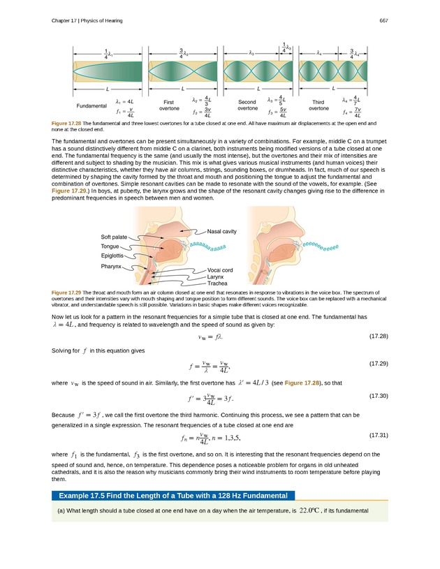 College Physics (Algebra) - New Page