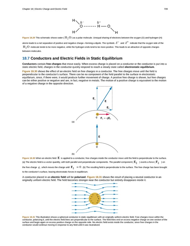College Physics (Algebra) - New Page